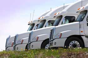 This is a picture of a row of white parked semi-cab trucks.